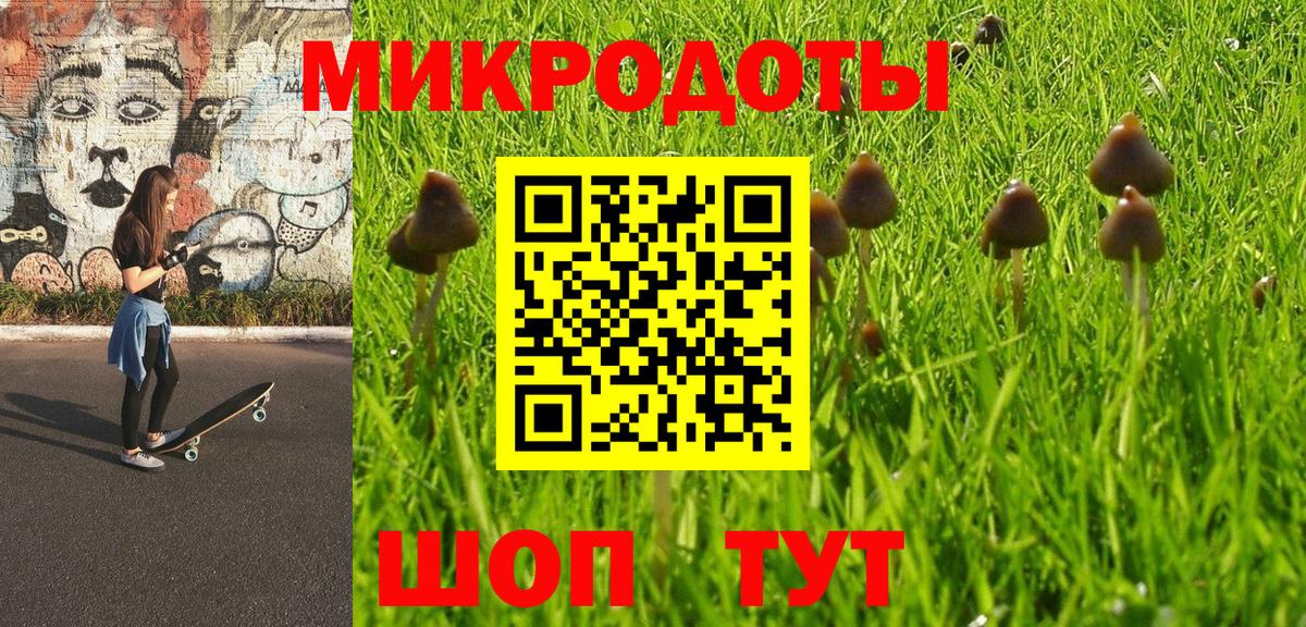 Галлюциногенные грибы Cubensis Краснодар