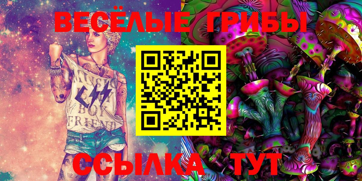 Краснодар  Псилоцибиновые грибы Psilocybine cubensis  Вход с VPN  Галлюциногенные грибы мицелий 